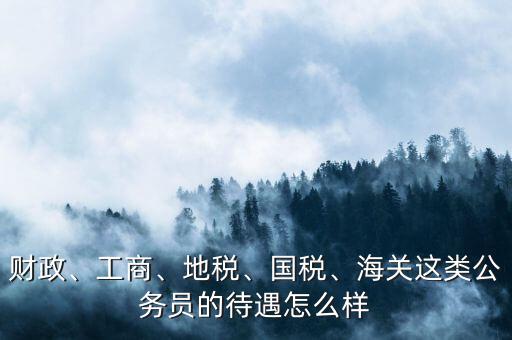 財政、工商、地稅、國稅、海關這類公務員的待遇怎么樣