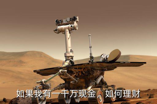 如果我有一千萬現(xiàn)金，如何理財