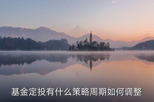 基金定投有什么策略周期如何調整