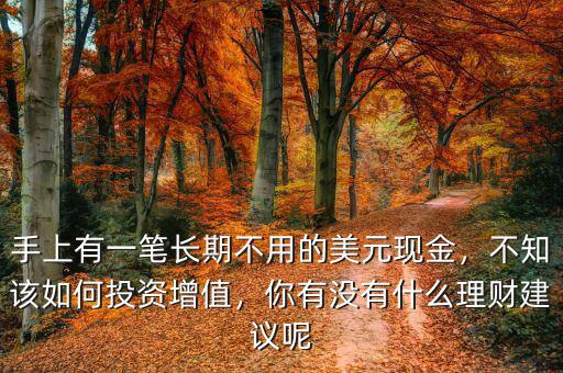 手上有一筆長(zhǎng)期不用的美元現(xiàn)金，不知該如何投資增值，你有沒有什么理財(cái)建議呢