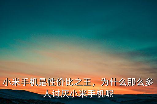 小米手機(jī)是性價(jià)比之王，為什么那么多人討厭小米手機(jī)呢