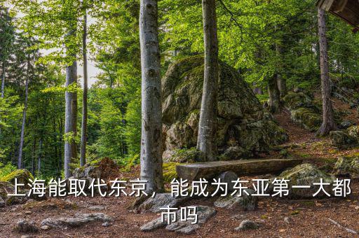 上海能取代東京，能成為東亞第一大都市嗎