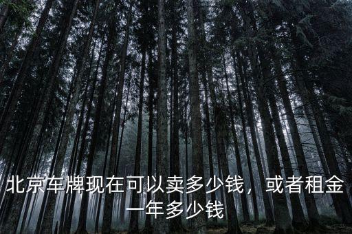 北京車牌現(xiàn)在可以賣多少錢，或者租金一年多少錢