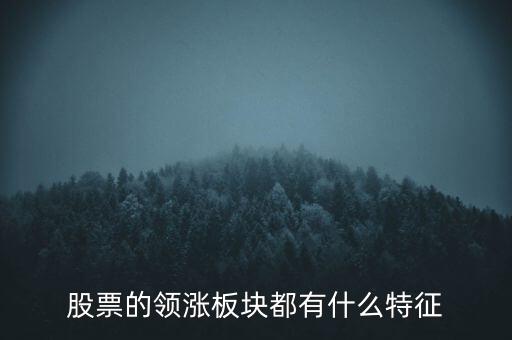 股票的領漲板塊都有什么特征