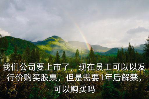 公司上市股票沒(méi)人買怎么辦,我想投資上市公司的原始股票