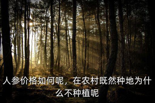 人參價(jià)格如何呢，在農(nóng)村既然種地為什么不種植呢