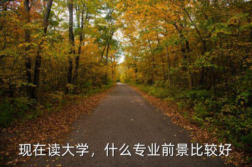 現(xiàn)在讀大學，什么專業(yè)前景比較好