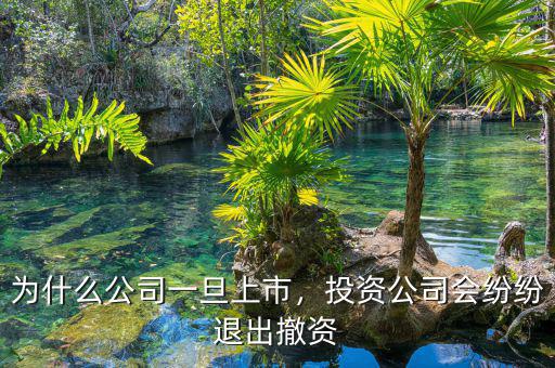 為什么公司一旦上市，投資公司會(huì)紛紛退出撤資