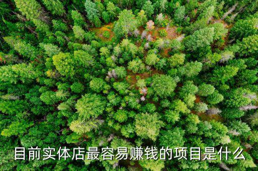 目前實體店最容易賺錢的項目是什么