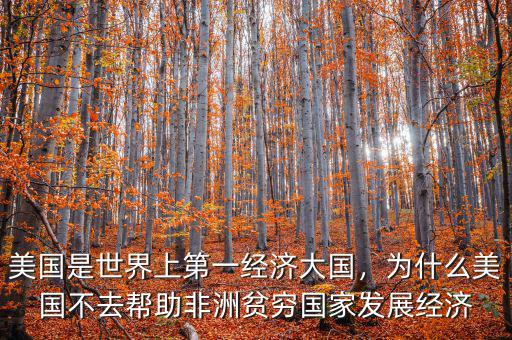 美國(guó)是世界上第一經(jīng)濟(jì)大國(guó)，為什么美國(guó)不去幫助非洲貧窮國(guó)家發(fā)展經(jīng)濟(jì)