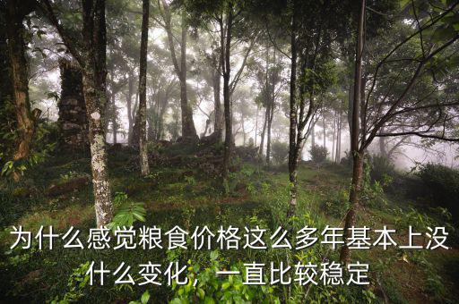 為什么感覺糧食價格這么多年基本上沒什么變化，一直比較穩(wěn)定