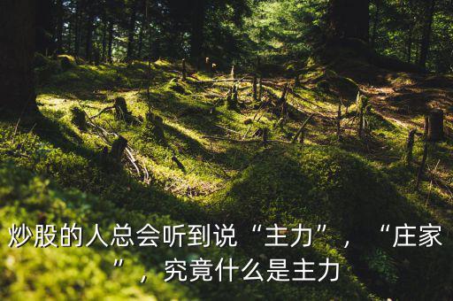 炒股的人總會(huì)聽到說(shuō)“主力”，“莊家”，究竟什么是主力