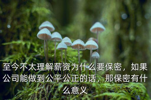 至今不太理解薪資為什么要保密，如果公司能做到公平公正的話(huà)，那保密有什么意義