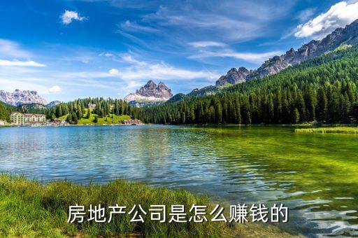 房地產傳銷怎么運作,房地產公司是怎么賺錢的