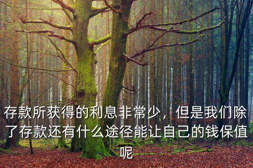 存款所獲得的利息非常少，但是我們除了存款還有什么途徑能讓自己的錢保值呢