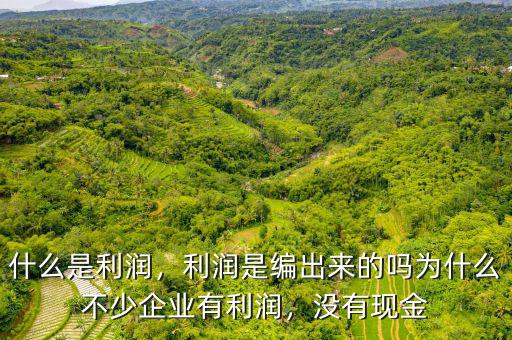 什么是利潤(rùn)，利潤(rùn)是編出來(lái)的嗎為什么不少企業(yè)有利潤(rùn)，沒(méi)有現(xiàn)金