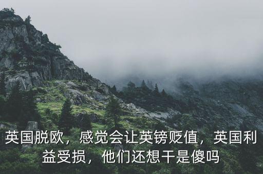 為什么英國(guó)脫歐英鎊會(huì)貶值,感覺(jué)會(huì)讓英鎊貶值