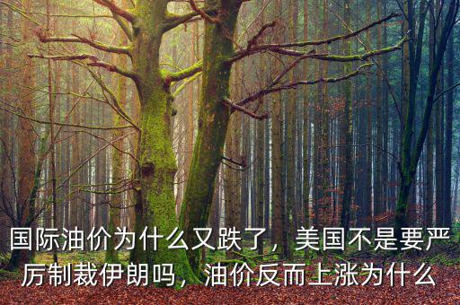國際油價(jià)為什么又跌了，美國不是要嚴(yán)厲制裁伊朗嗎，油價(jià)反而上漲為什么