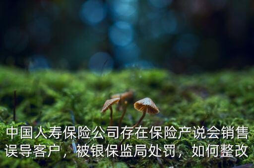 中國人壽保險公司存在保險產(chǎn)說會銷售誤導(dǎo)客戶，被銀保監(jiān)局處罰，如何整改