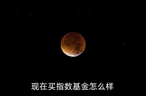 現在買指數基金怎么樣