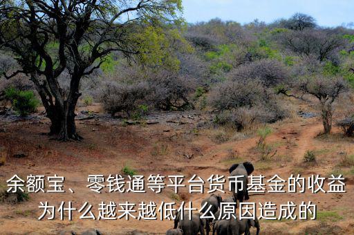 余額寶、零錢通等平臺貨幣基金的收益為什么越來越低什么原因造成的