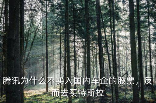 騰訊為什么不買入國(guó)內(nèi)車企的股票，反而去買特斯拉