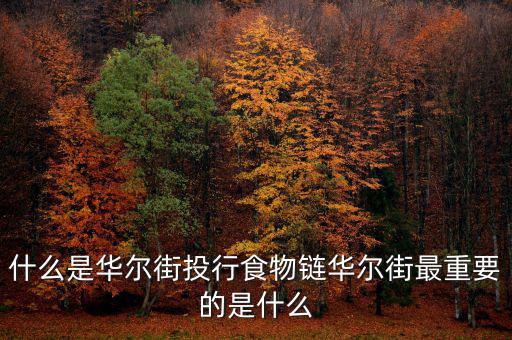 在華爾街工作是什么意思,在美國(guó)硅谷或者華爾街工作