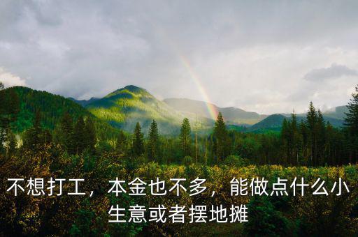 不想打工，本金也不多，能做點什么小生意或者擺地攤