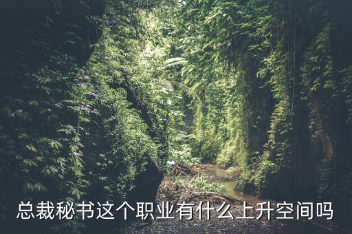 總裁秘書這個(gè)職業(yè)有什么上升空間嗎