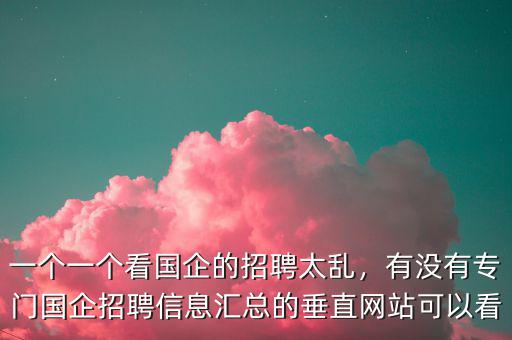 一個(gè)一個(gè)看國(guó)企的招聘太亂，有沒(méi)有專門國(guó)企招聘信息匯總的垂直網(wǎng)站可以看