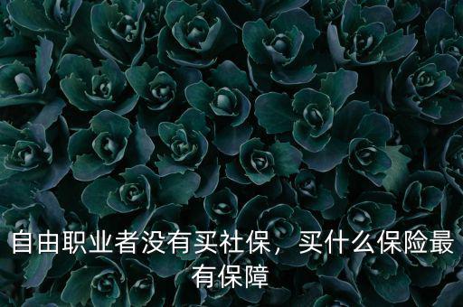 自由職業(yè)者沒(méi)有買社保，買什么保險(xiǎn)最有保障