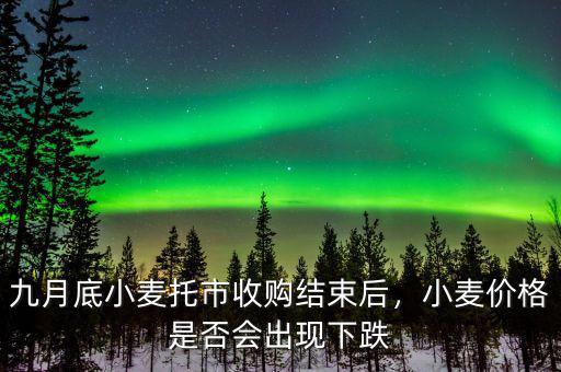 九月底小麥托市收購結(jié)束后，小麥價格是否會出現(xiàn)下跌