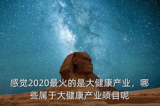 感覺(jué)2020最火的是大健康產(chǎn)業(yè)，哪些屬于大健康產(chǎn)業(yè)項(xiàng)目呢