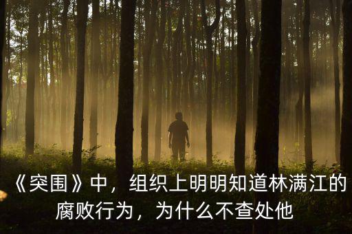 《突圍》中，組織上明明知道林滿江的腐敗行為，為什么不查處他