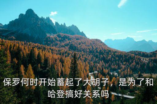 保羅何時(shí)開始蓄起了大胡子，是為了和哈登搞好關(guān)系嗎