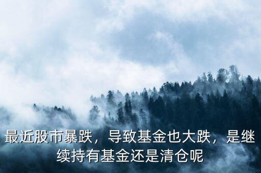 最近股市暴跌，導致基金也大跌，是繼續(xù)持有基金還是清倉呢