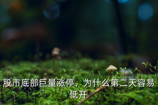 股市底部巨量漲停，為什么第二天容易低開