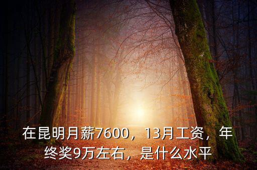 在昆明月薪7600，13月工資，年終獎9萬左右，是什么水平