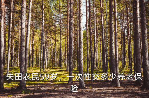 失田農(nóng)民59歲，一次性交多少養(yǎng)老保險