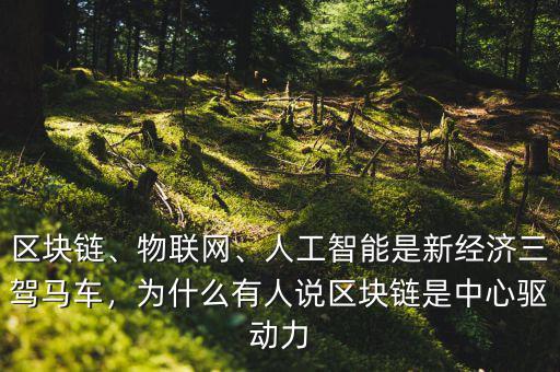 區(qū)塊鏈、物聯(lián)網(wǎng)、人工智能是新經(jīng)濟(jì)三駕馬車，為什么有人說區(qū)塊鏈?zhǔn)侵行尿?qū)動力