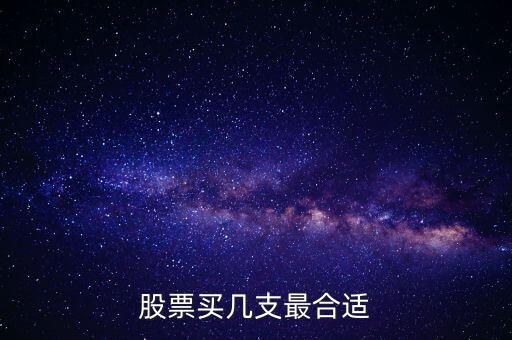 股票買幾支最合適