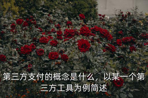 第三方支付的概念是什么，以某一個第三方工具為例簡述