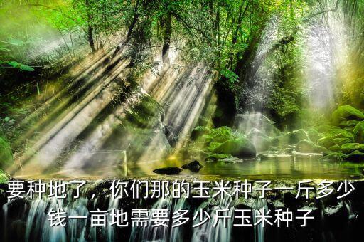 要種地了，你們那的玉米種子一斤多少錢一畝地需要多少斤玉米種子