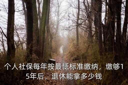 個(gè)人社保每年按最低標(biāo)準(zhǔn)繳納，繳夠15年后，退休能拿多少錢(qián)