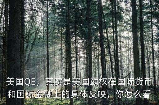 美國(guó)QE，其實(shí)是美國(guó)霸權(quán)在國(guó)際貨幣和國(guó)際金融上的具體反映，你怎么看