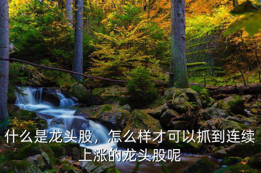 什么是龍頭股，怎么樣才可以抓到連續(xù)上漲的龍頭股呢