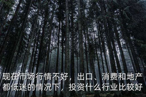 消費(fèi)投資是什么行業(yè),如何看消費(fèi)行業(yè)的投資