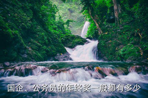 國企、公務(wù)員的年終獎一般都有多少