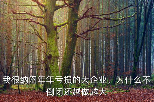 新企業(yè)為什么會虧損,為什么會出現虧損
