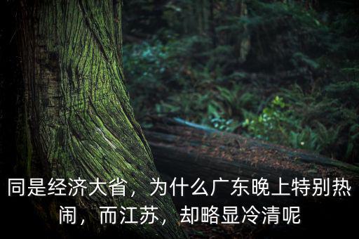 同是經(jīng)濟(jì)大省，為什么廣東晚上特別熱鬧，而江蘇，卻略顯冷清呢